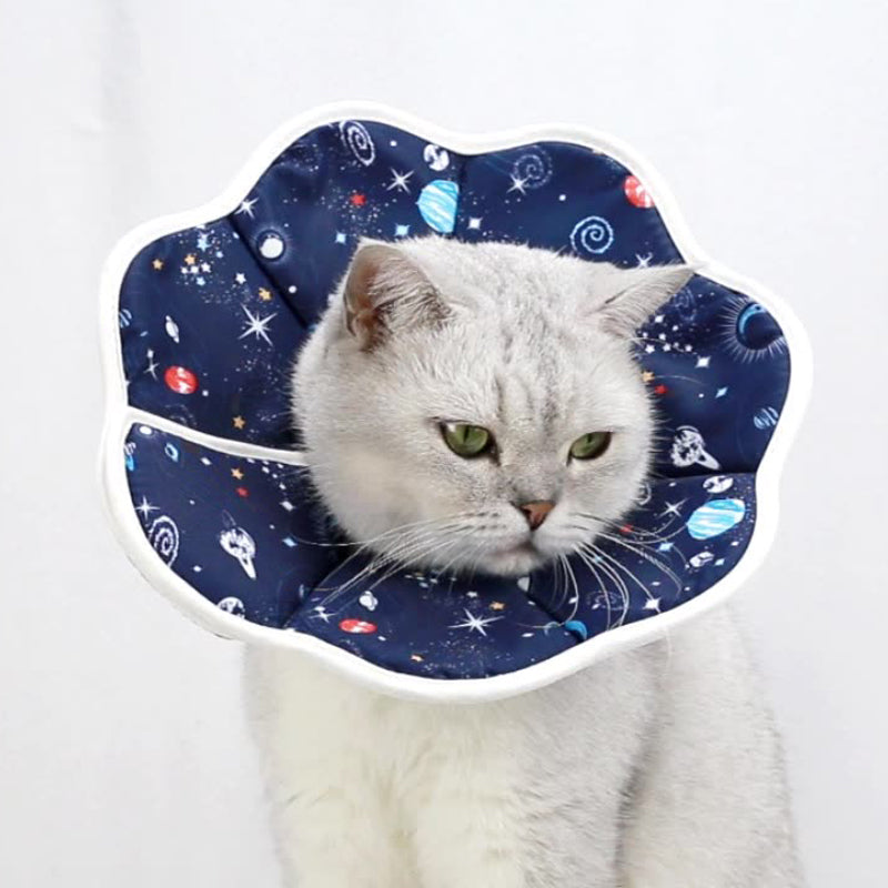 Planet Pattern Fold-able Pet Protection Cover