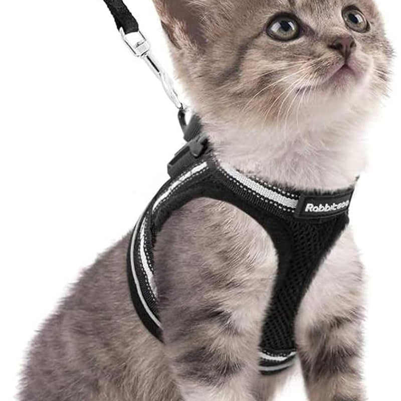 Cat Harness Leash Set