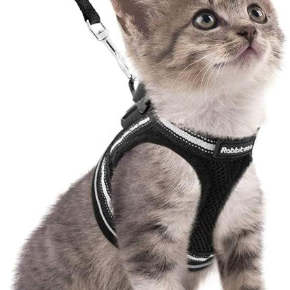 Cat Harness Leash Set