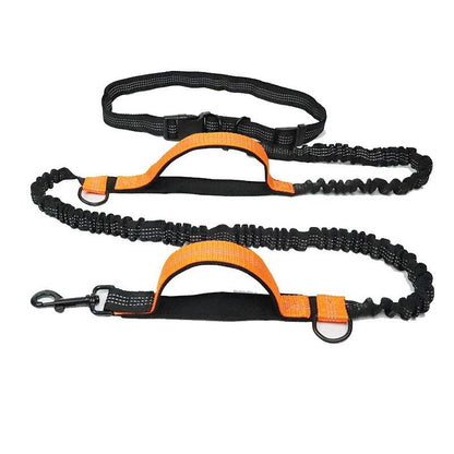 3 in 1 Retractable Belt Banding Leash