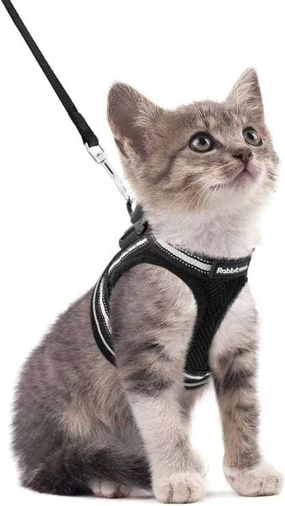 Cat Harness Leash Set